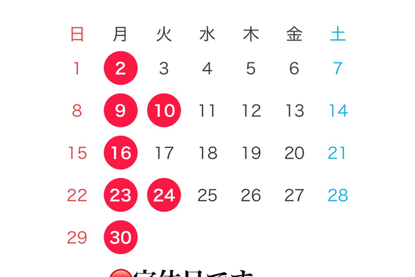 【6月のスケジュール】