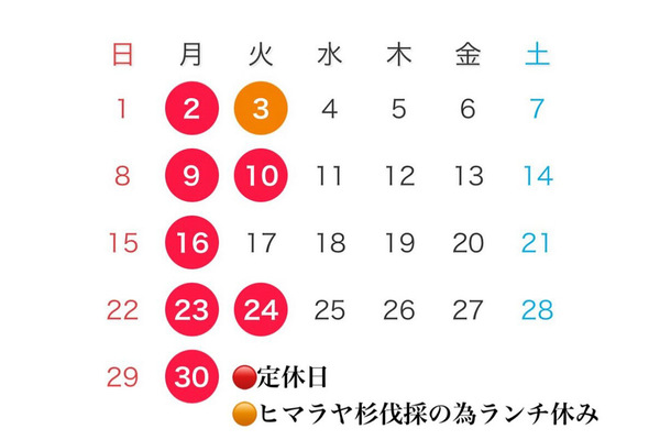 【6月のスケジュール】